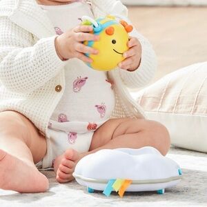 Skip Hop Explore and More Follow Bee Crawl Toy